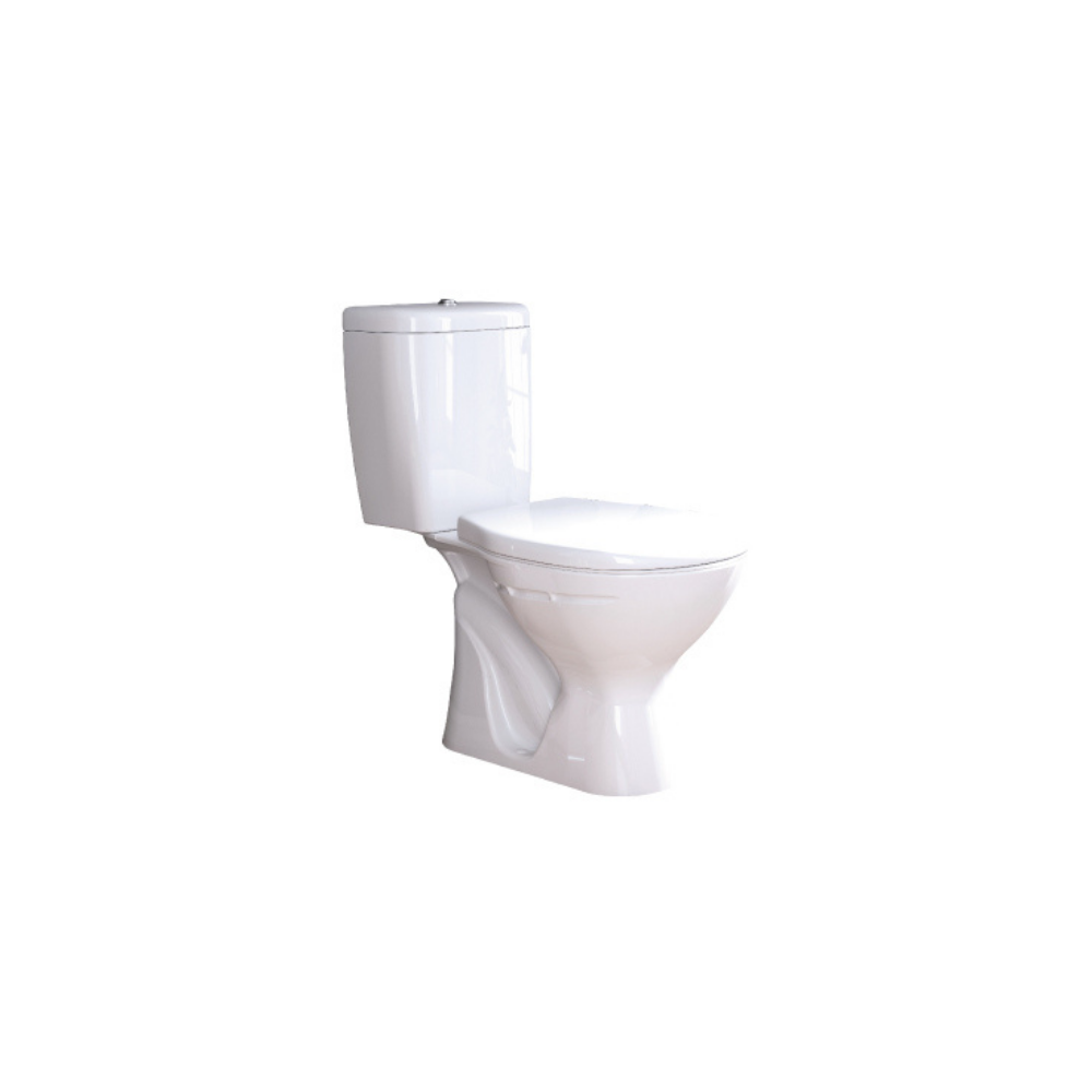 "Modern white ceramic toilet with a dual-flush system for water efficiency and an elongated seat for added comfort."