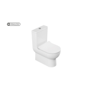 "Modern white ceramic toilet with a dual-flush system for water efficiency and an elongated seat for added comfort."