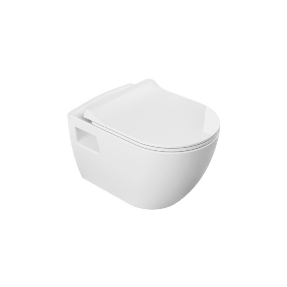 "Modern white ceramic toilet with a dual-flush system for water efficiency and an elongated seat for added comfort."