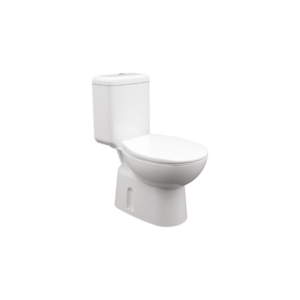 "Modern white ceramic toilet with a dual-flush system for water efficiency and an elongated seat for added comfort."