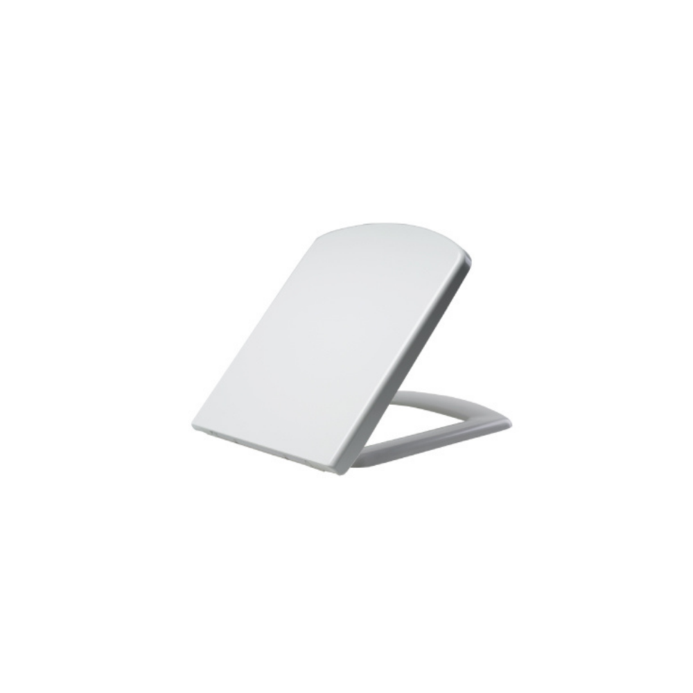 "Modern white ceramic toilet with a dual-flush system for water efficiency and an elongated seat for added comfort."