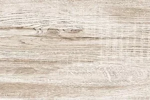 Varied selection of ceramic tiles showcasing multiple patterns and hues