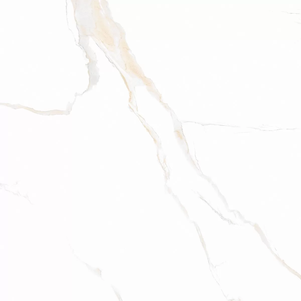 Assorted collection of ceramic tiles in various designs and textures